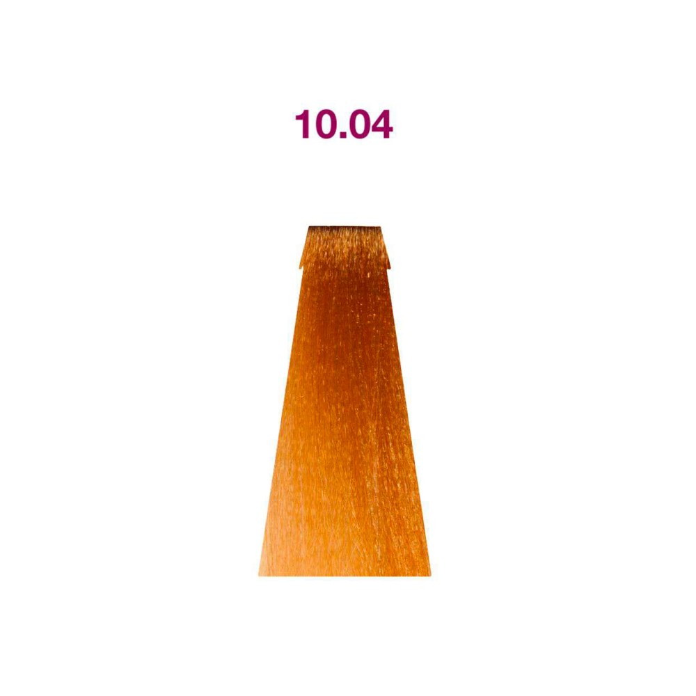 10.04