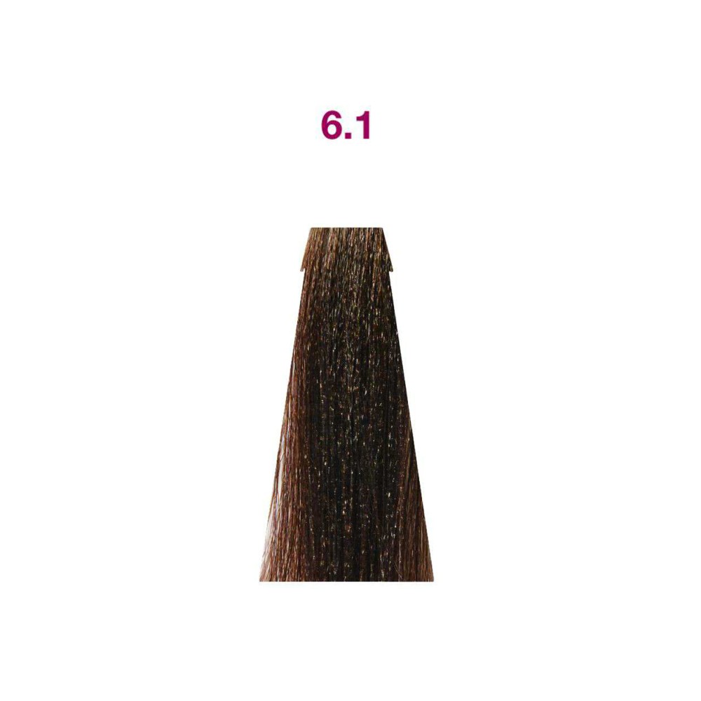 6.1