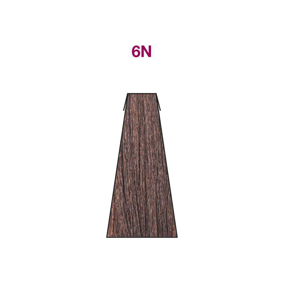 6N