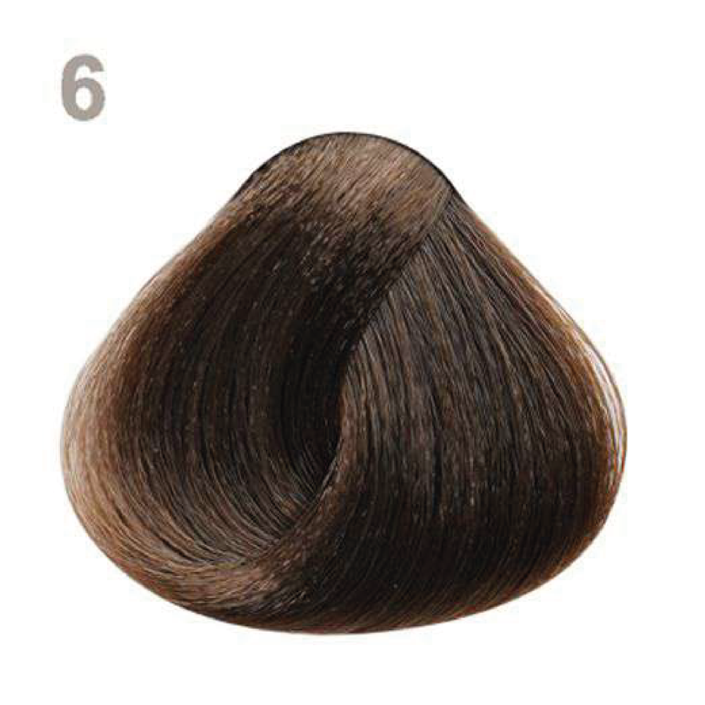 6 6