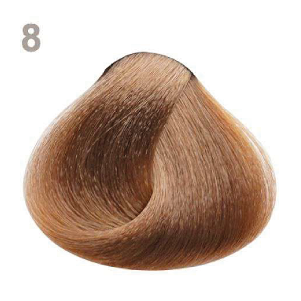 8 8