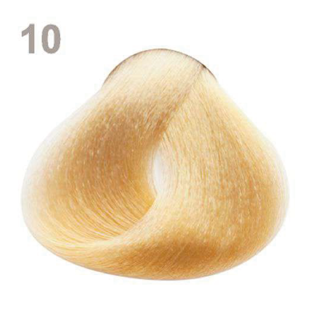 10 10