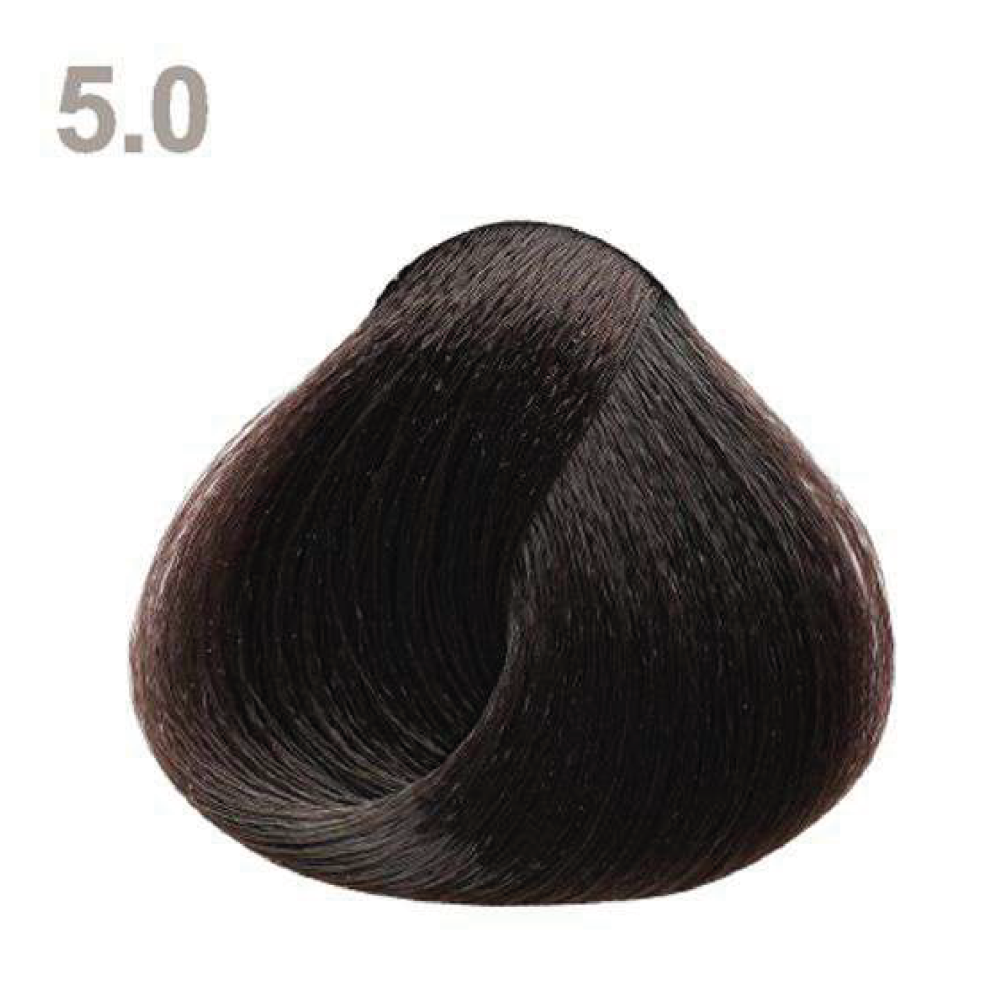 5.0 5.0