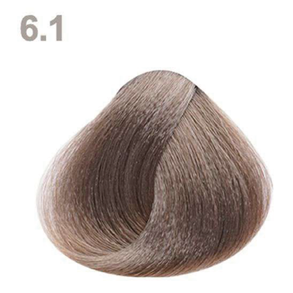 6.1