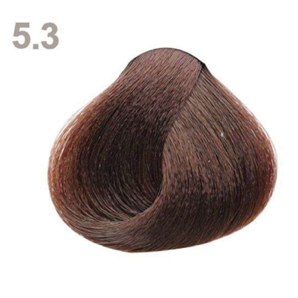 5.3 5.3