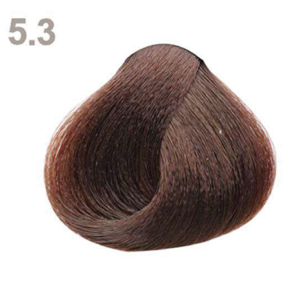 5.3