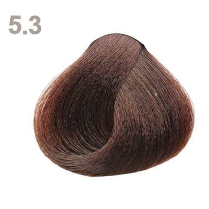 5.3