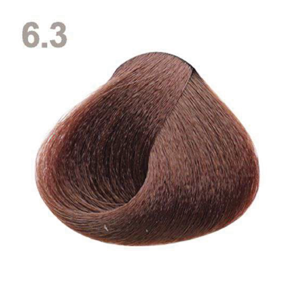6.3 6.3