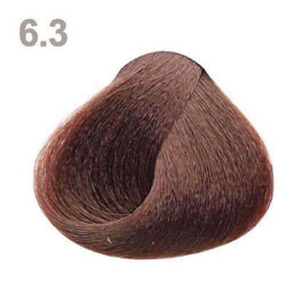 6.3