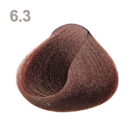 6.3