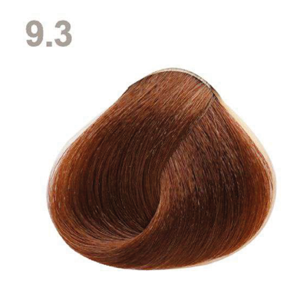 9.3 9.3