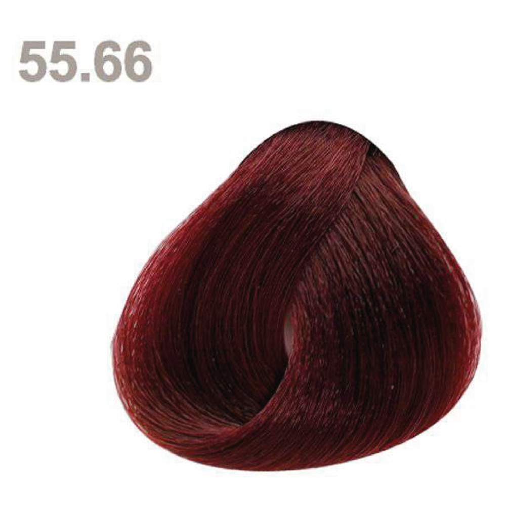 55.66 55.66