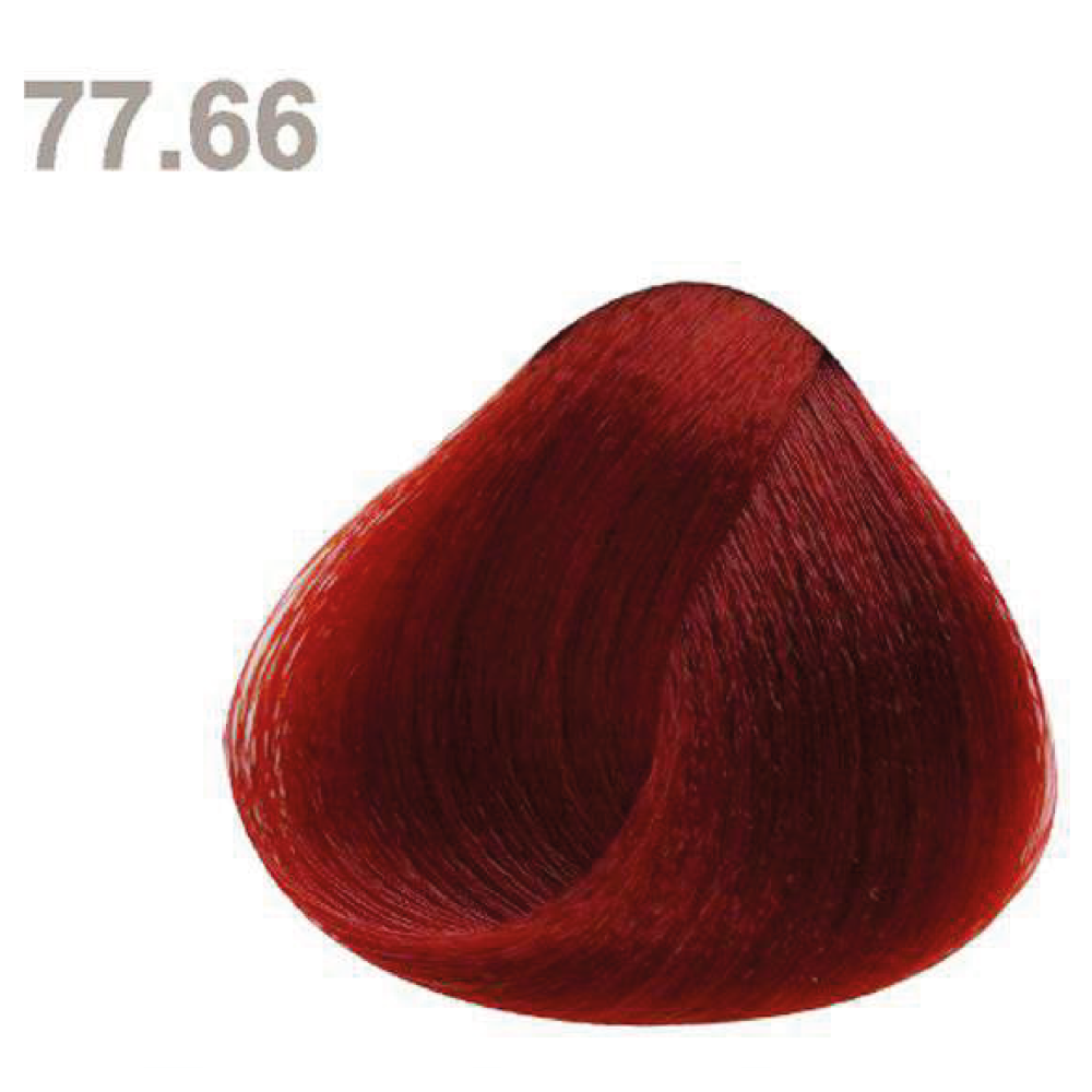 77.66 77.66
