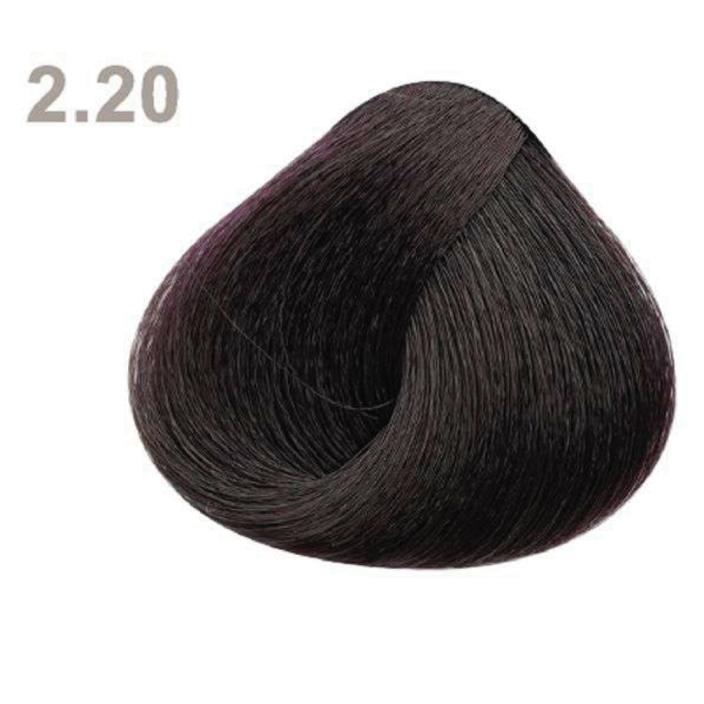 2.20 2.20