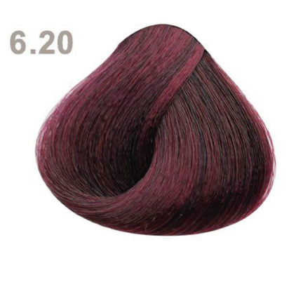 6.20